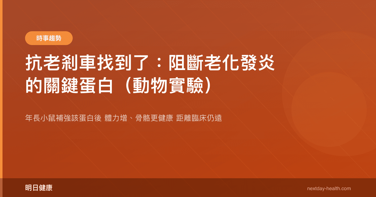 抗老剎車找到了：阻斷老化發炎的關鍵蛋白（動物實驗）