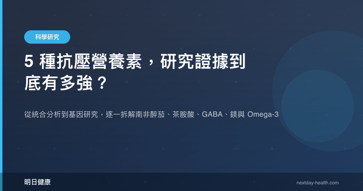 5 種抗壓營養素，研究證據到底有多強？