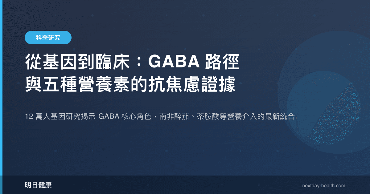 從基因到臨床：GABA 路徑與五種營養素的抗焦慮證據
