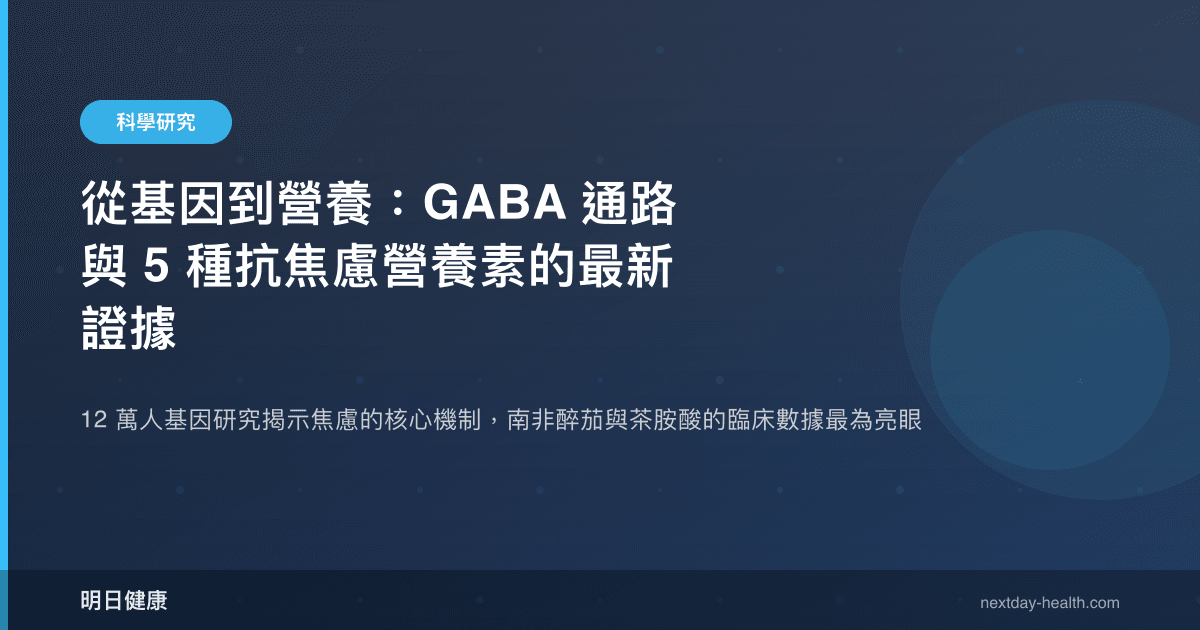 從基因到營養：GABA 通路與 5 種抗焦慮營養素的最新證據