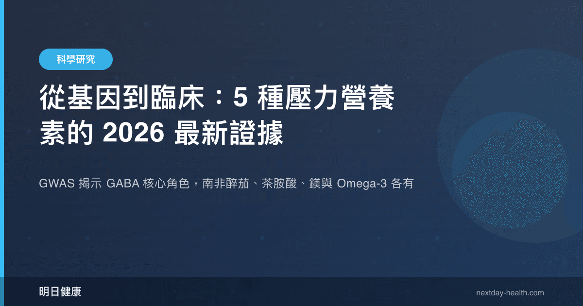 從基因到臨床：5 種壓力營養素的 2026 最新證據