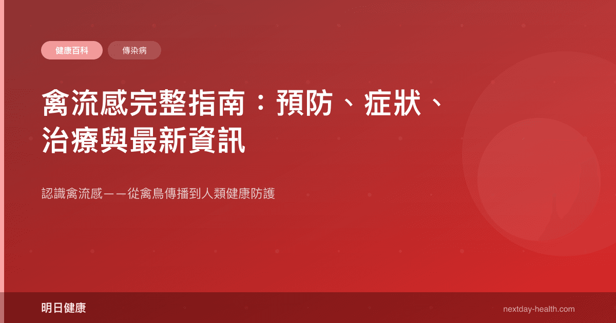 禽流感完整指南：預防、症狀、治療與最新資訊