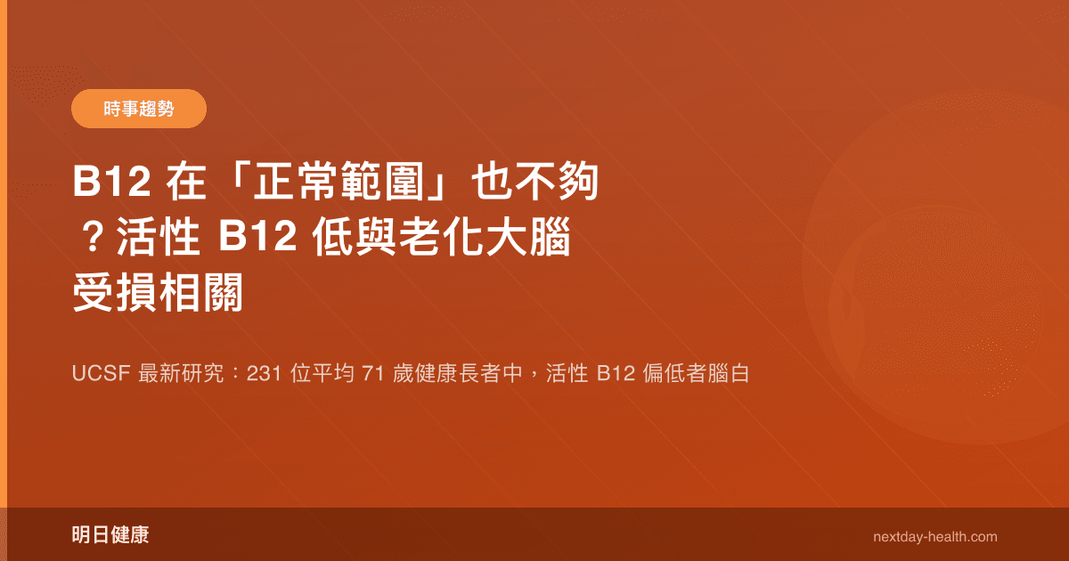 B12 在「正常範圍」也不夠？活性 B12 低與老化大腦受損相關