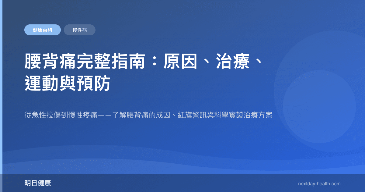 腰背痛完整指南：原因、治療、運動與預防