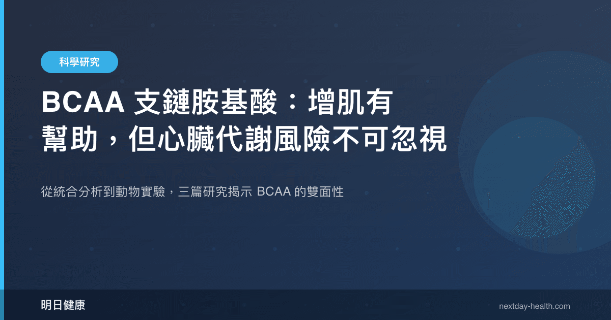 BCAA 支鏈胺基酸：增肌有幫助，但心臟代謝風險不可忽視