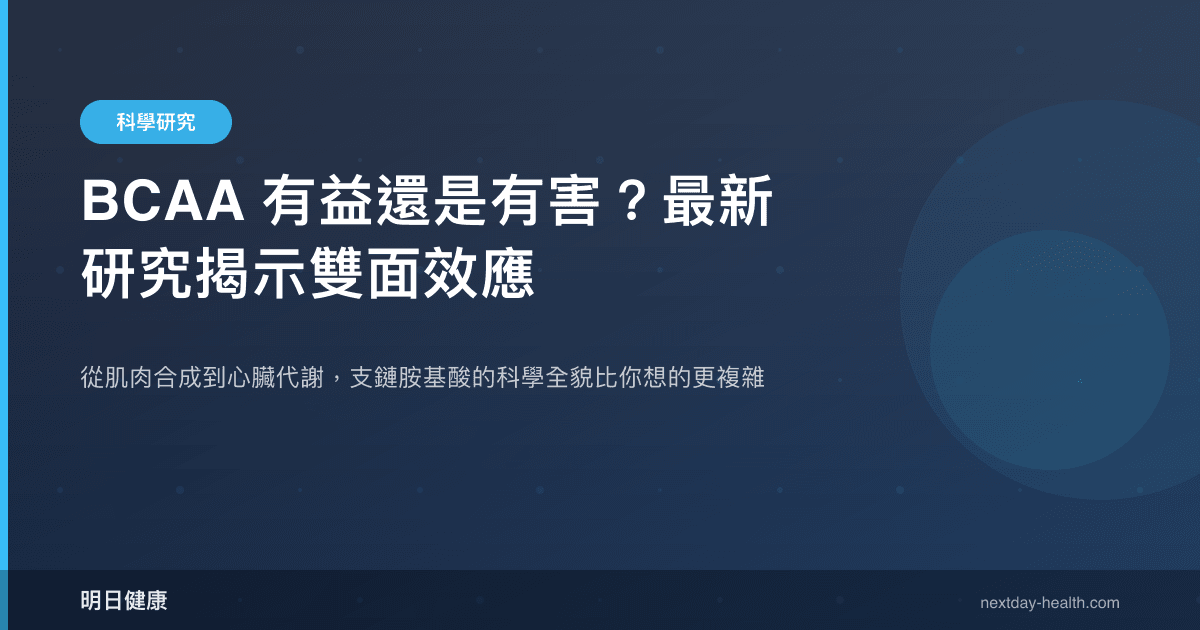 BCAA 有益還是有害？最新研究揭示雙面效應