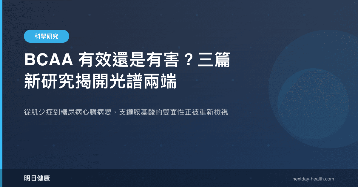BCAA 有效還是有害？三篇新研究揭開光譜兩端
