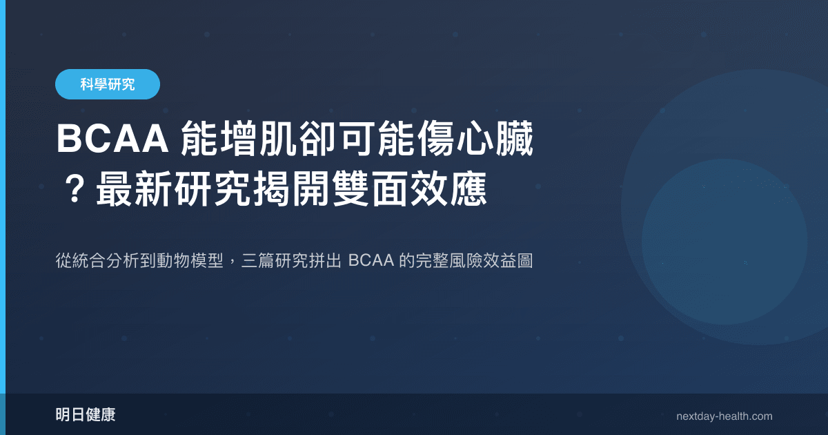 BCAA 能增肌卻可能傷心臟？最新研究揭開雙面效應
