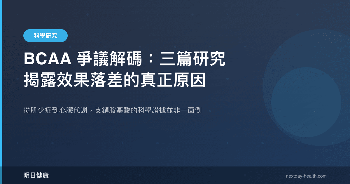 BCAA 爭議解碼：三篇研究揭露效果落差的真正原因