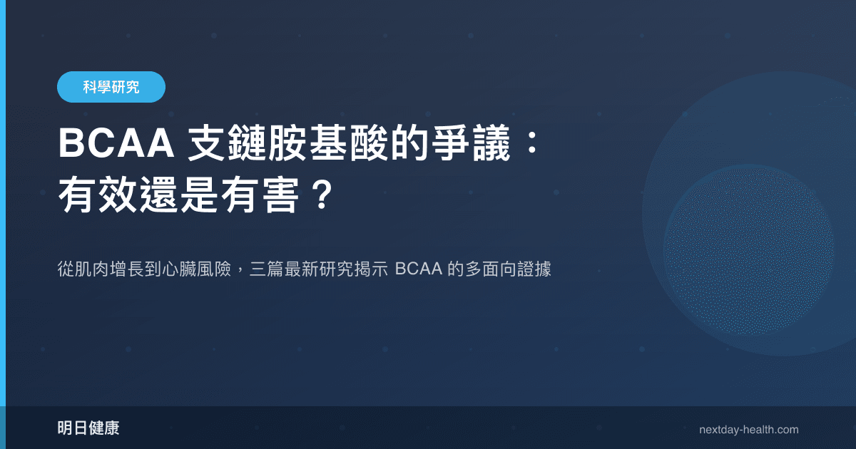 BCAA 支鏈胺基酸的爭議：有效還是有害？