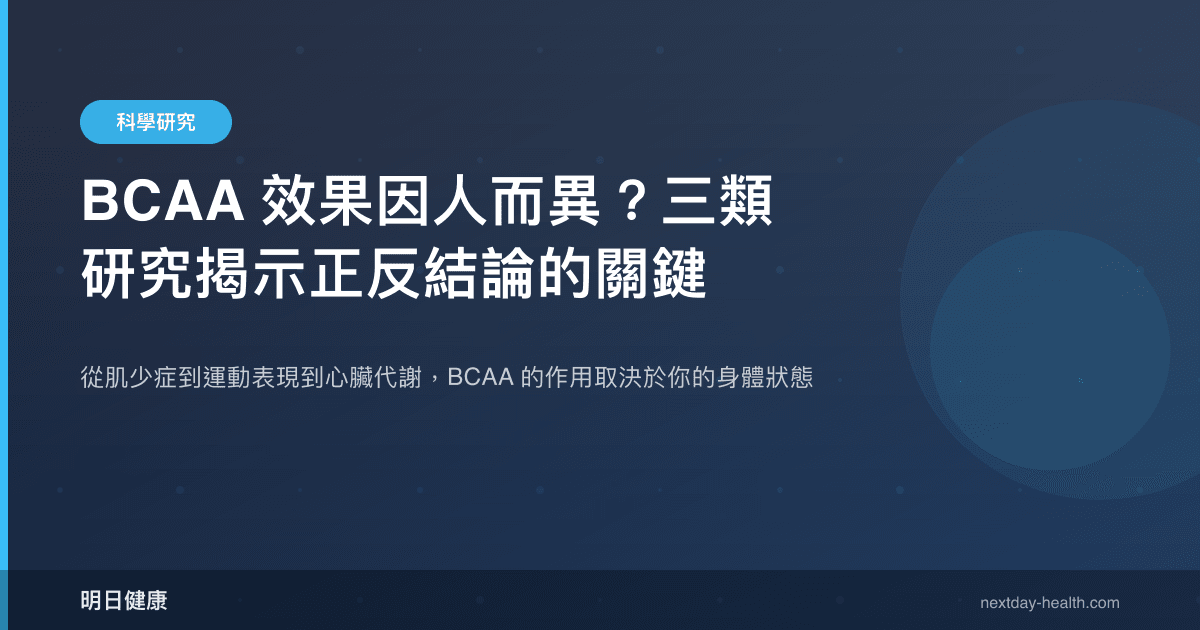 BCAA 效果因人而異？三類研究揭示正反結論的關鍵