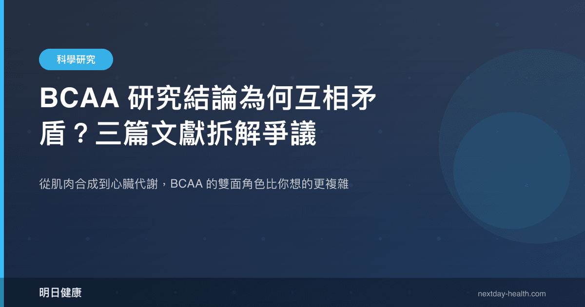 BCAA 研究結論為何互相矛盾？三篇文獻拆解爭議