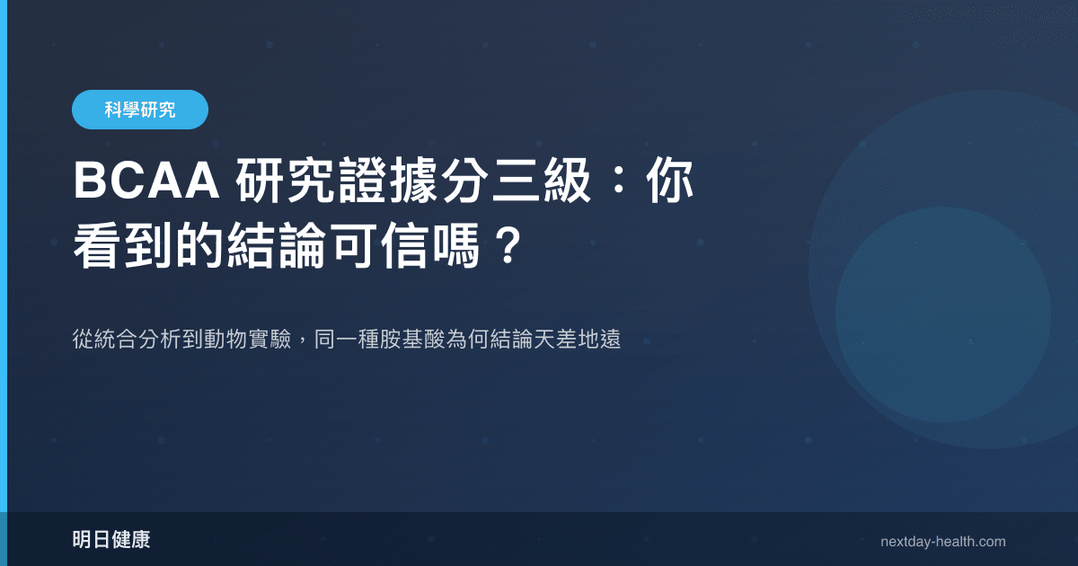 BCAA 研究證據分三級：你看到的結論可信嗎？