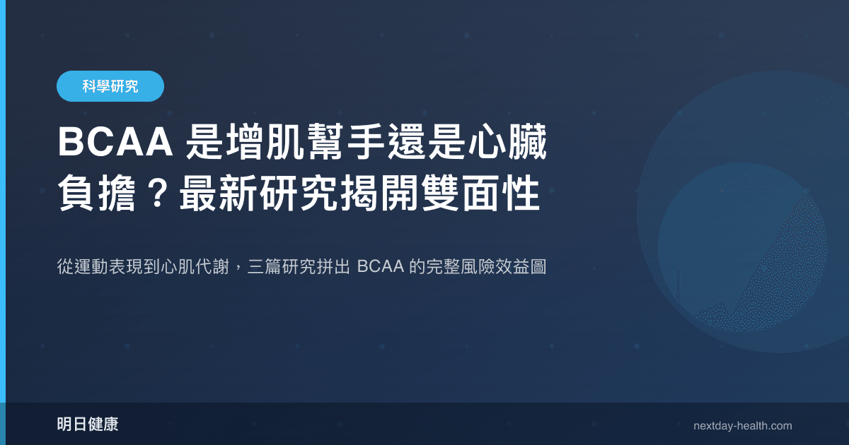 BCAA 是增肌幫手還是心臟負擔？最新研究揭開雙面性