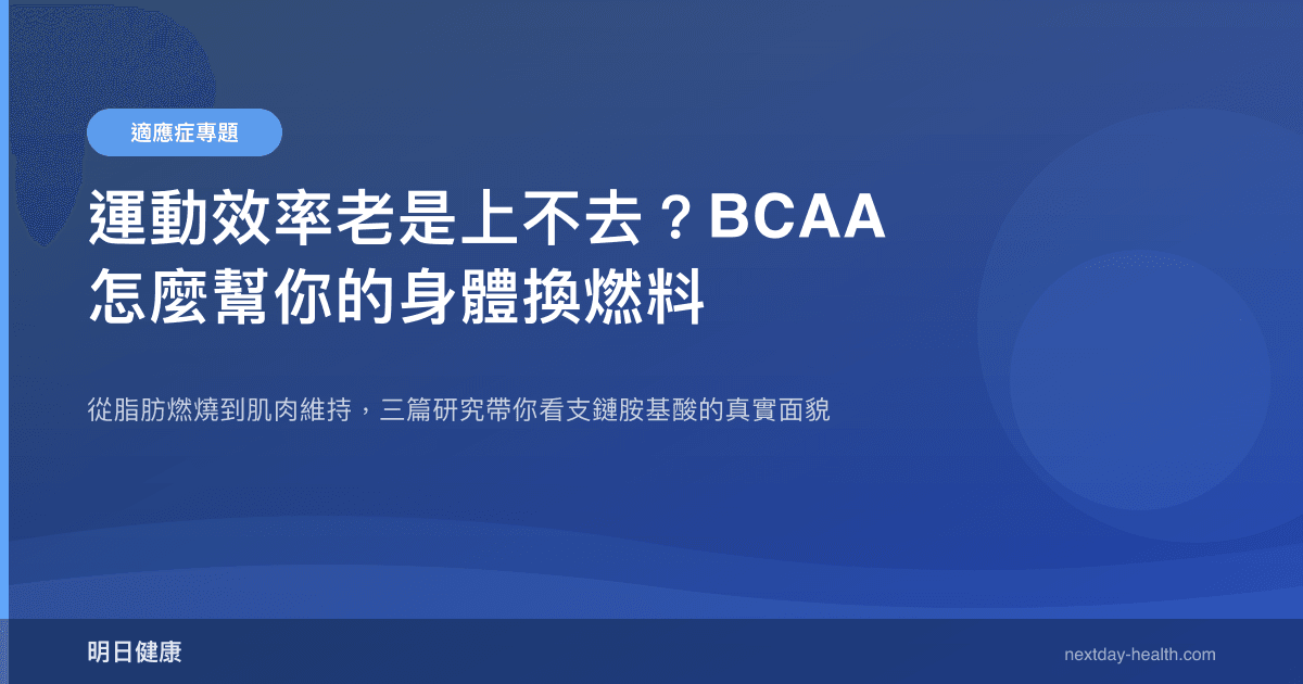 運動效率老是上不去？BCAA 怎麼幫你的身體換燃料