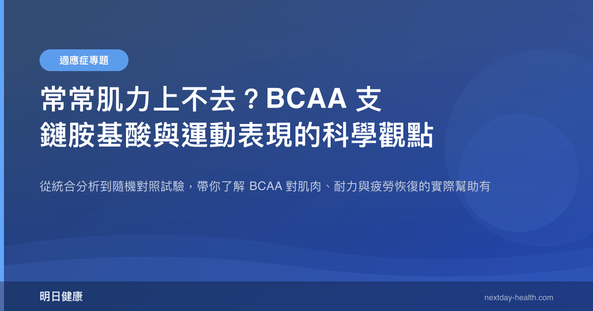 常常肌力上不去？BCAA 支鏈胺基酸與運動表現的科學觀點