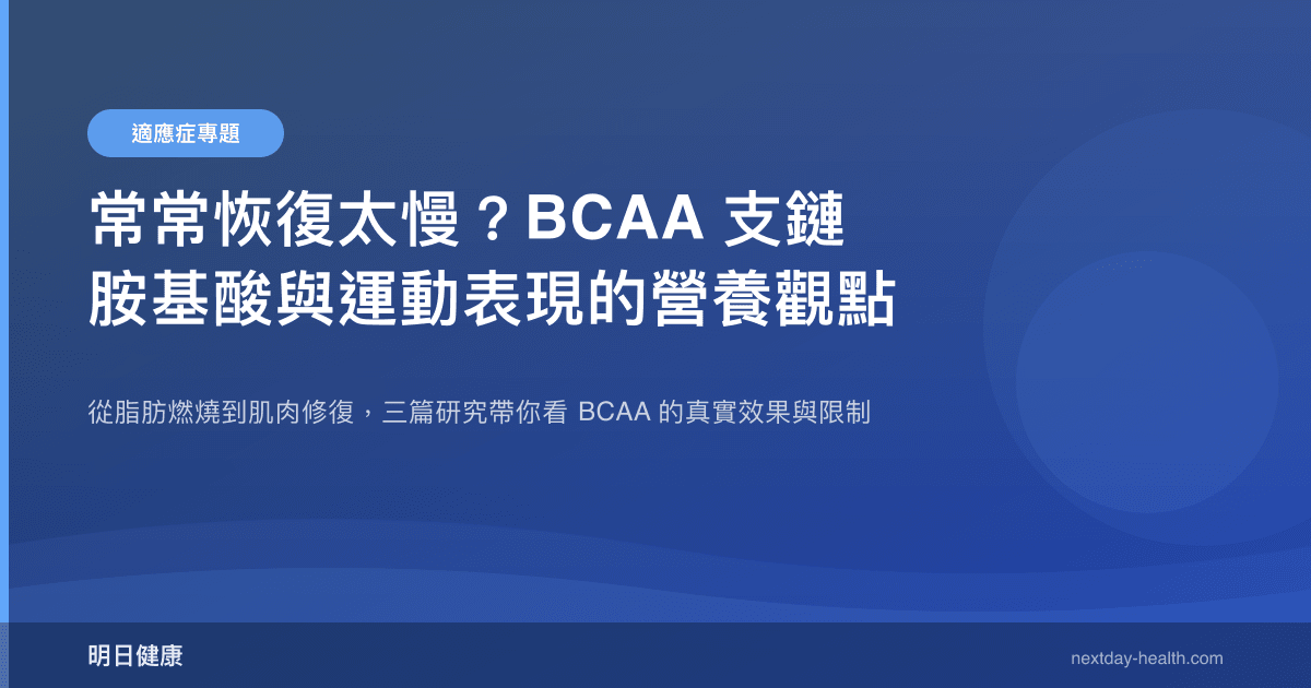常常恢復太慢？BCAA 支鏈胺基酸與運動表現的營養觀點