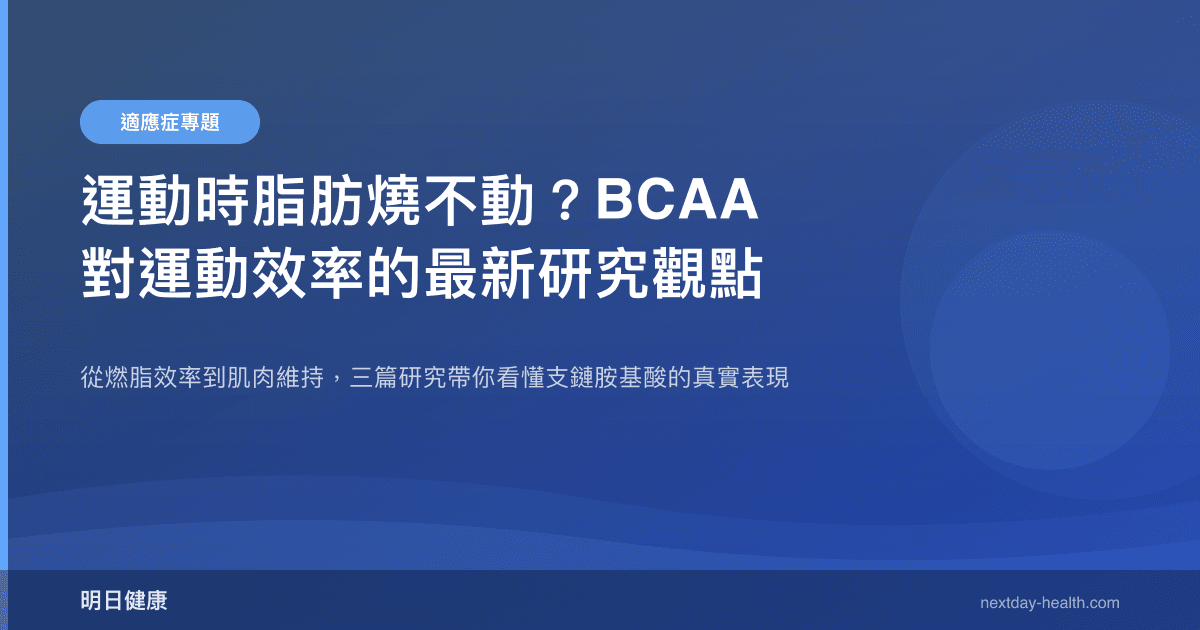 運動時脂肪燒不動？BCAA 對運動效率的最新研究觀點