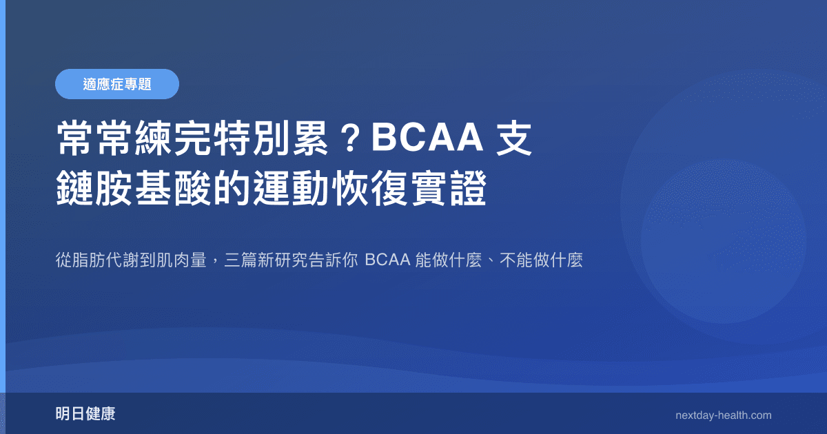 常常練完特別累？BCAA 支鏈胺基酸的運動恢復實證