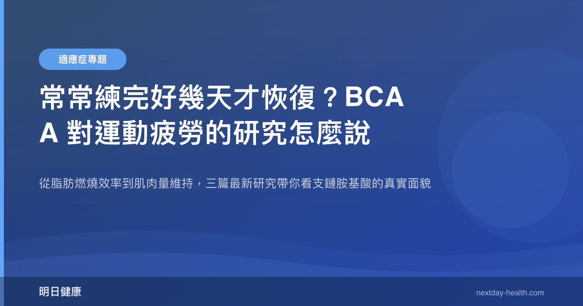 常常練完好幾天才恢復？BCAA 對運動疲勞的研究怎麼說