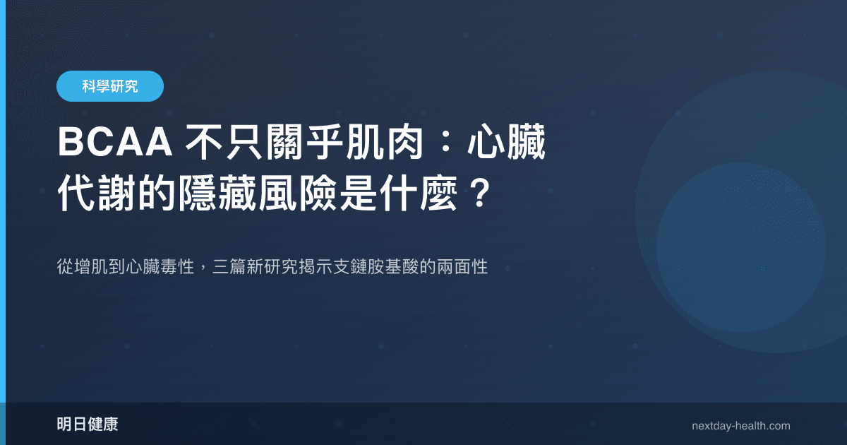 BCAA 不只關乎肌肉：心臟代謝的隱藏風險是什麼？