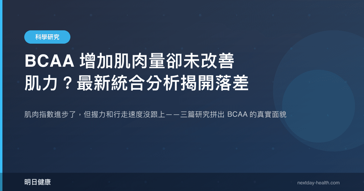 BCAA 增加肌肉量卻未改善肌力？最新統合分析揭開落差