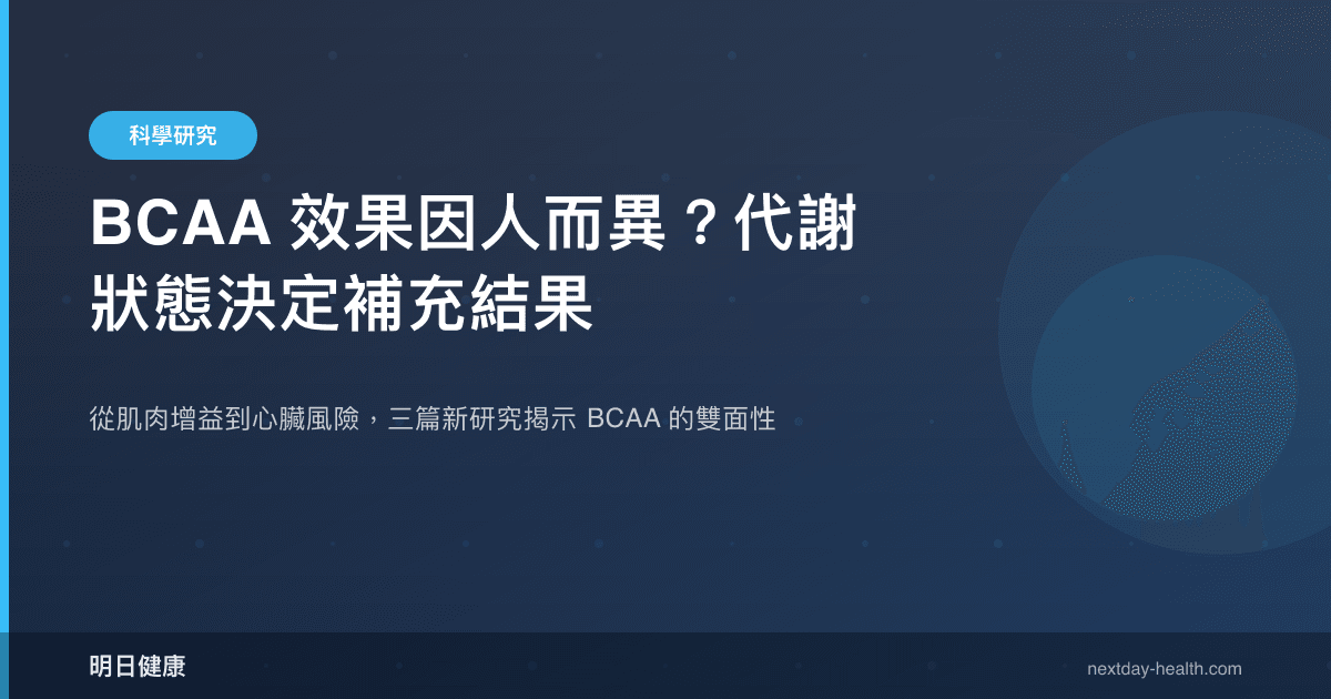 BCAA 效果因人而異？代謝狀態決定補充結果