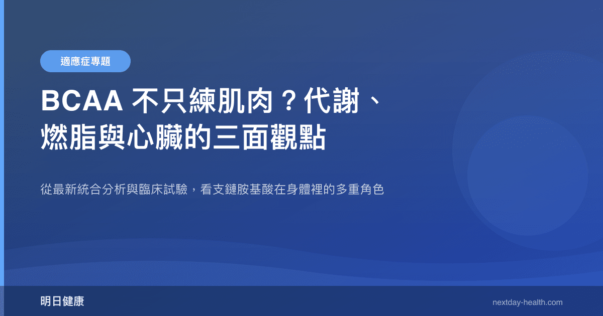 BCAA 不只練肌肉？代謝、燃脂與心臟的三面觀點