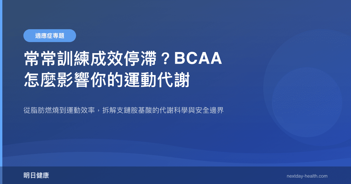 常常訓練成效停滯？BCAA 怎麼影響你的運動代謝