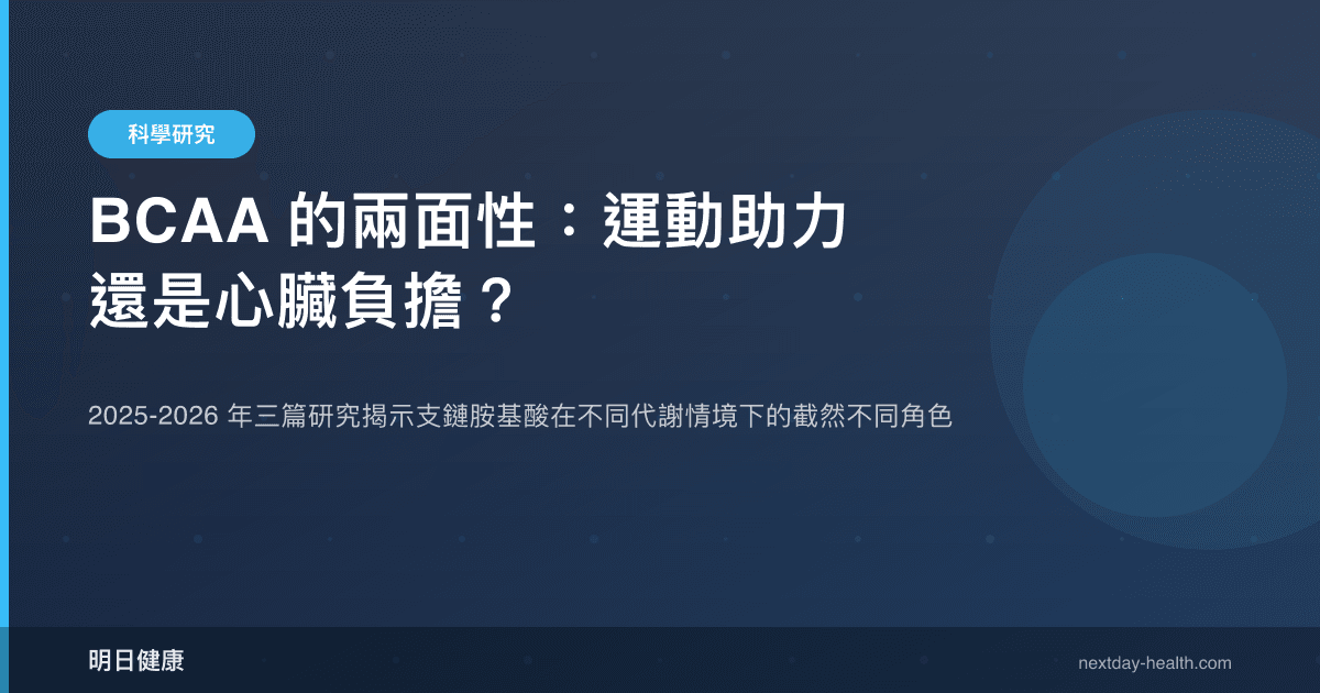 BCAA 的兩面性：運動助力還是心臟負擔？