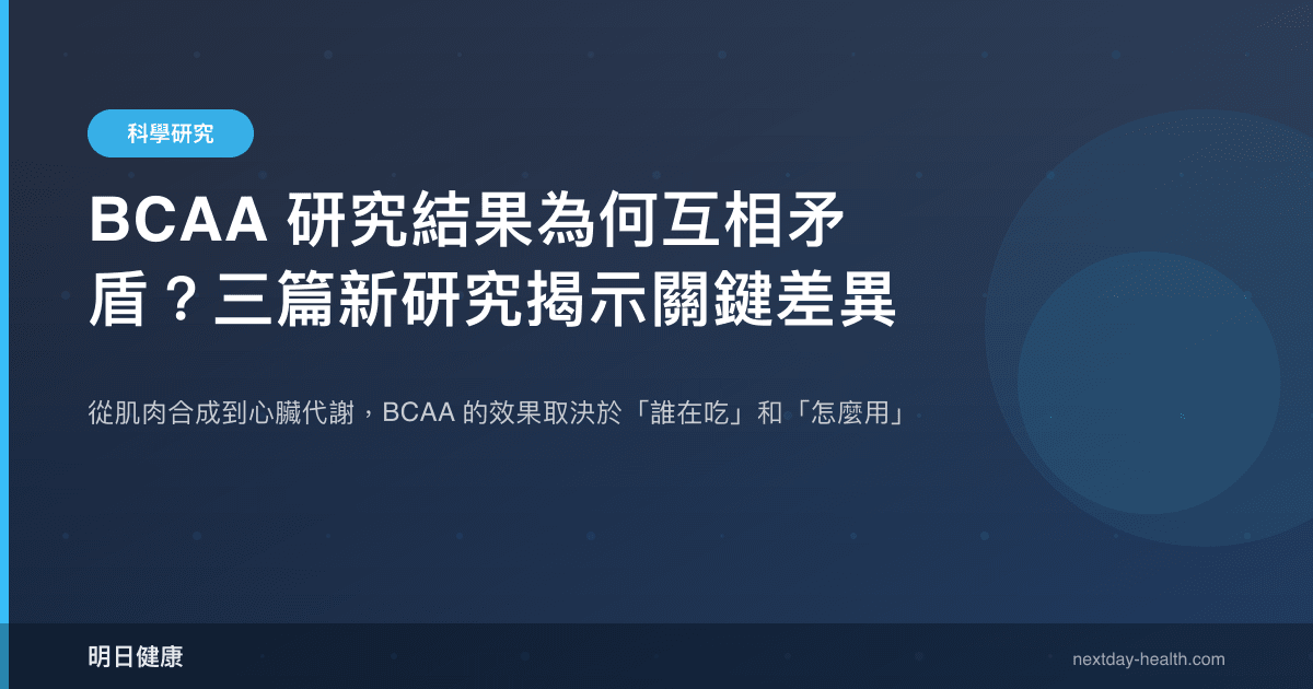 BCAA 研究結果為何互相矛盾？三篇新研究揭示關鍵差異