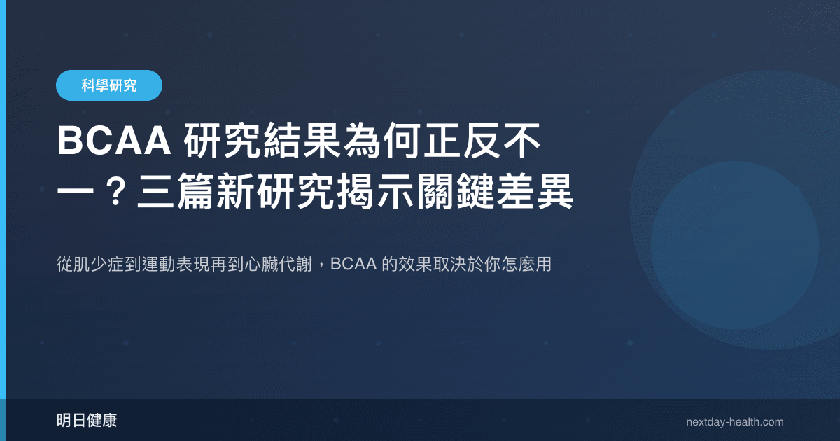 BCAA 研究結果為何正反不一？三篇新研究揭示關鍵差異