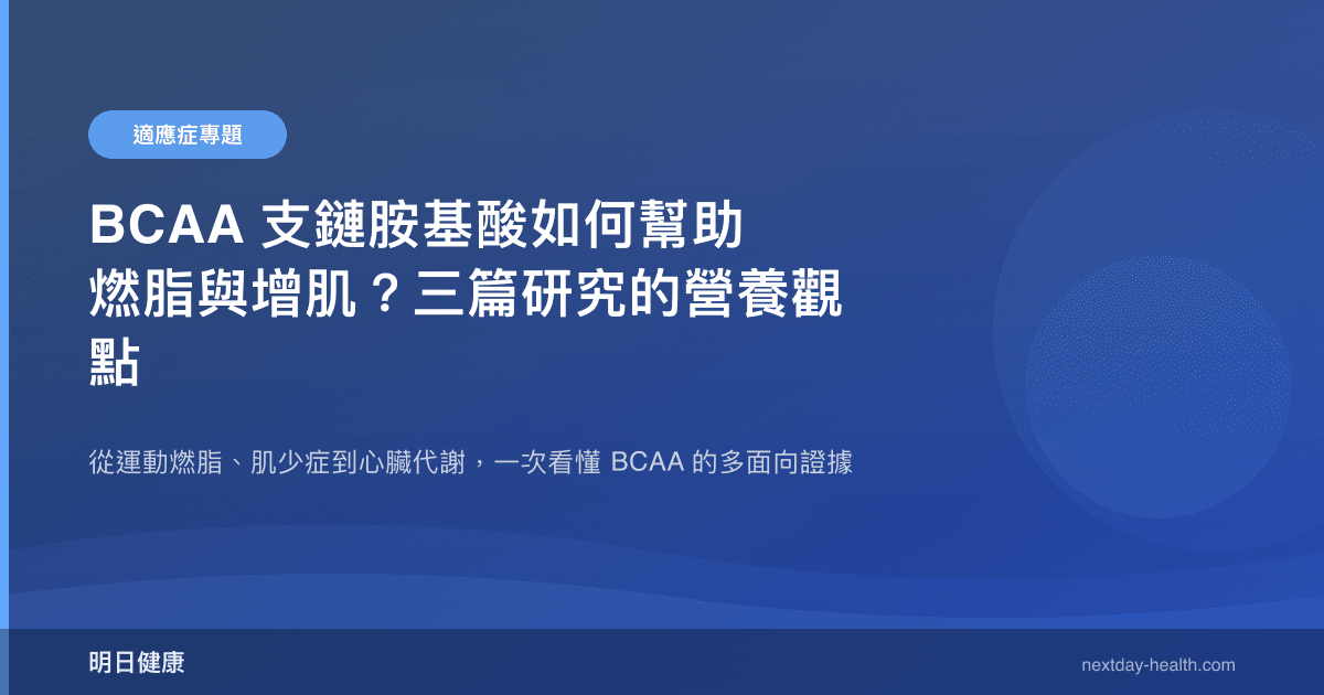 BCAA 支鏈胺基酸如何幫助燃脂與增肌？三篇研究的營養觀點
