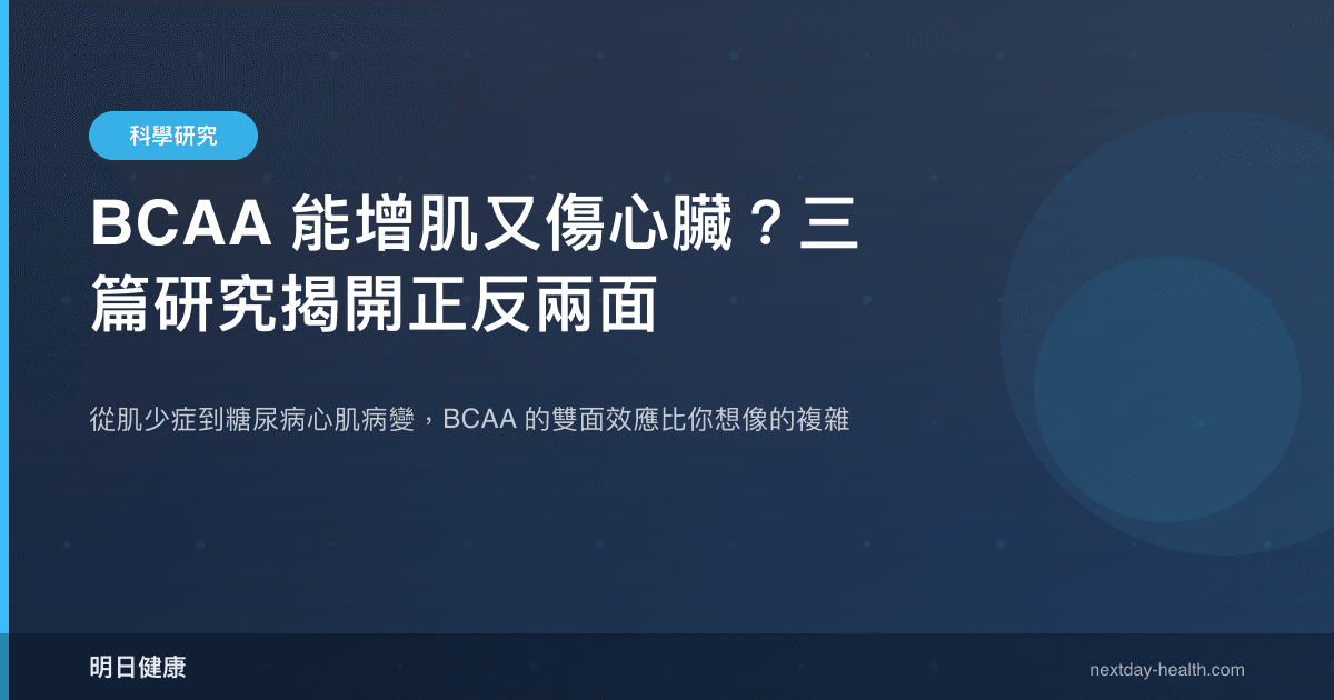 BCAA 能增肌又傷心臟？三篇研究揭開正反兩面