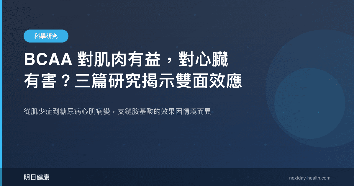 BCAA 對肌肉有益，對心臟有害？三篇研究揭示雙面效應