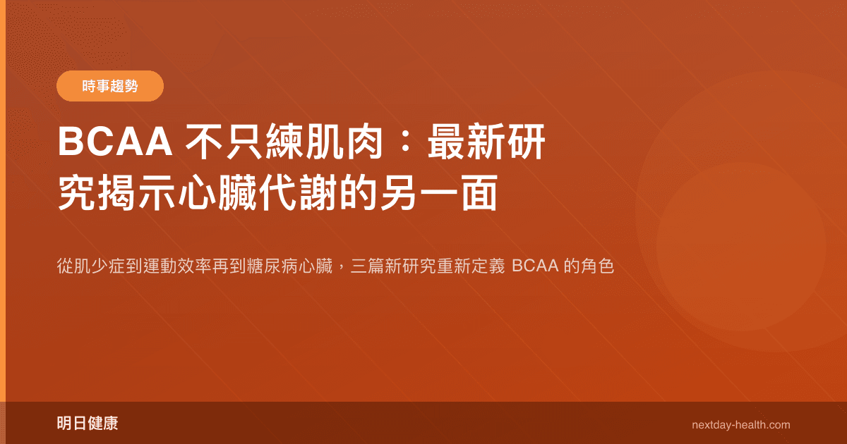 BCAA 不只練肌肉：最新研究揭示心臟代謝的另一面