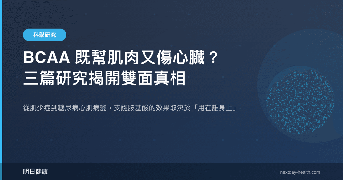 BCAA 既幫肌肉又傷心臟？三篇研究揭開雙面真相