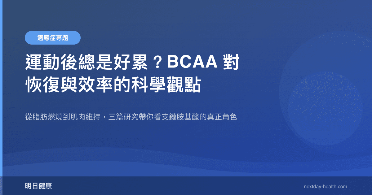運動後總是好累？BCAA 對恢復與效率的科學觀點