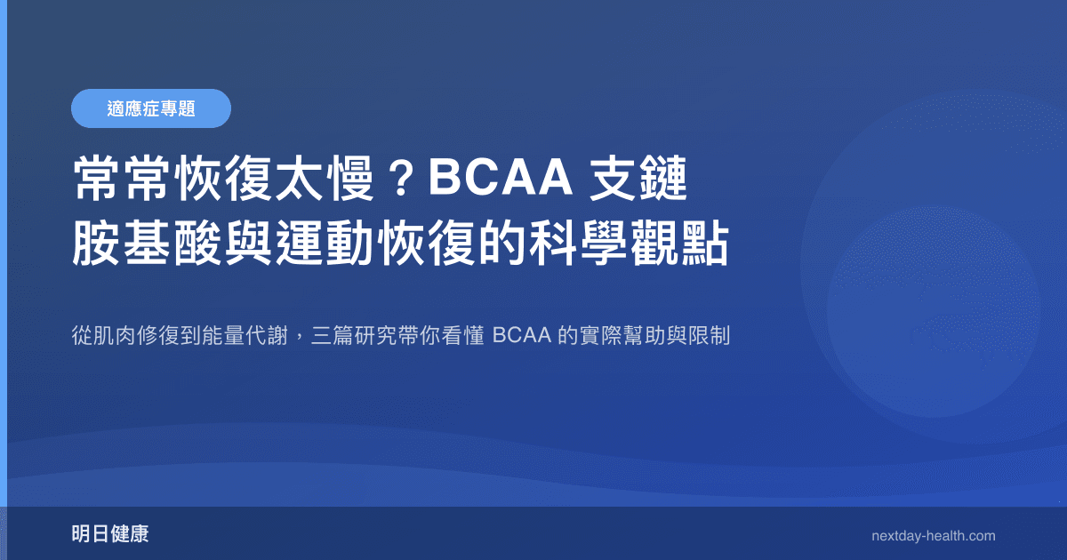 常常恢復太慢？BCAA 支鏈胺基酸與運動恢復的科學觀點
