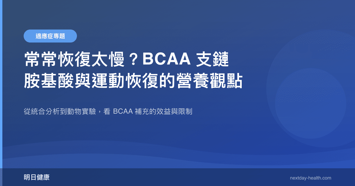 常常恢復太慢？BCAA 支鏈胺基酸與運動恢復的營養觀點