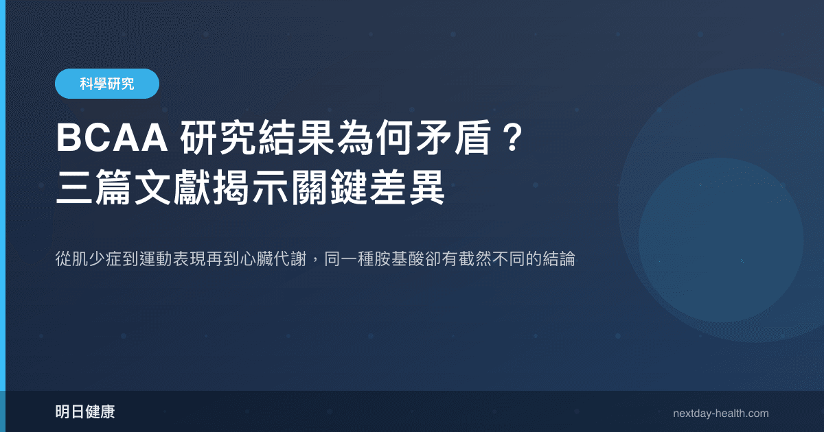 BCAA 研究結果為何矛盾？三篇文獻揭示關鍵差異