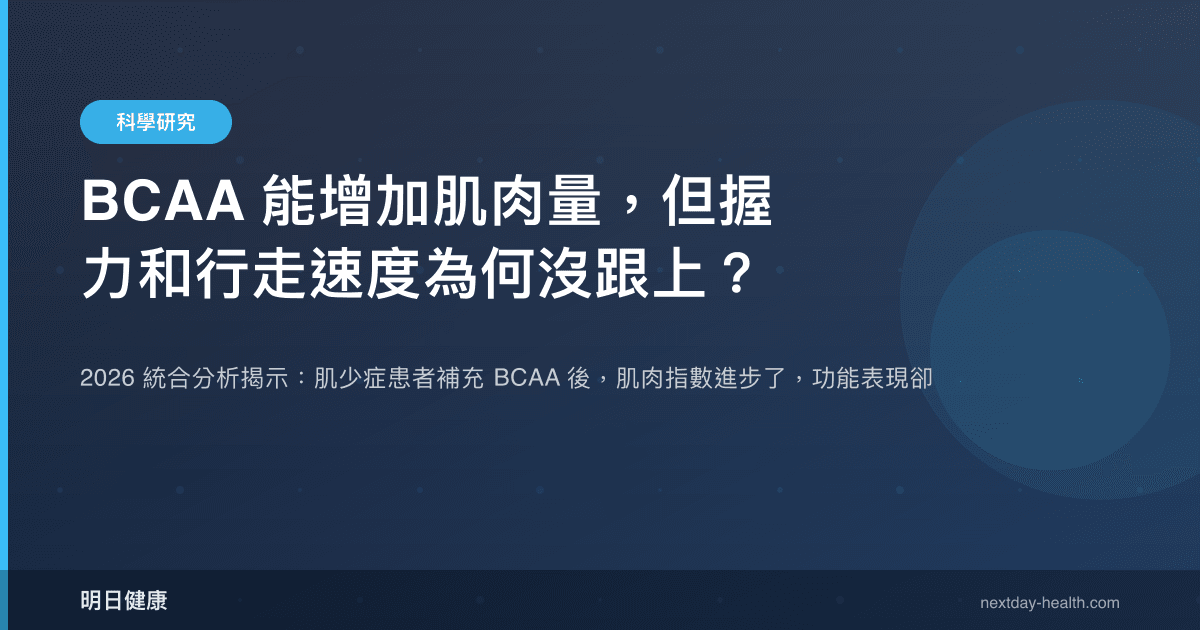 BCAA 能增加肌肉量，但握力和行走速度為何沒跟上？