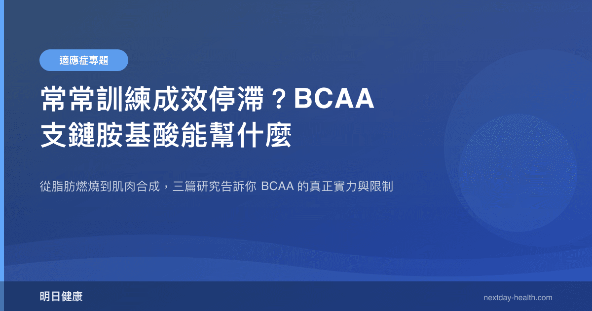 常常訓練成效停滯？BCAA 支鏈胺基酸能幫什麼