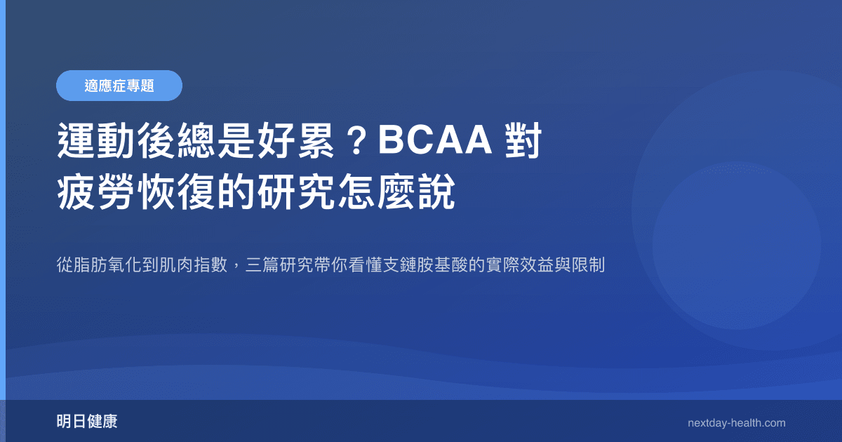 運動後總是好累？BCAA 對疲勞恢復的研究怎麼說