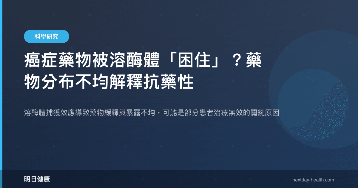 癌症藥物被溶酶體「困住」？藥物分布不均解釋抗藥性