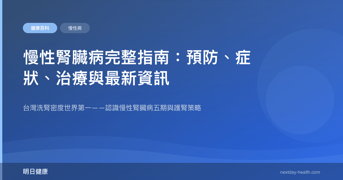 慢性腎臟病完整指南：預防、症狀、治療與最新資訊