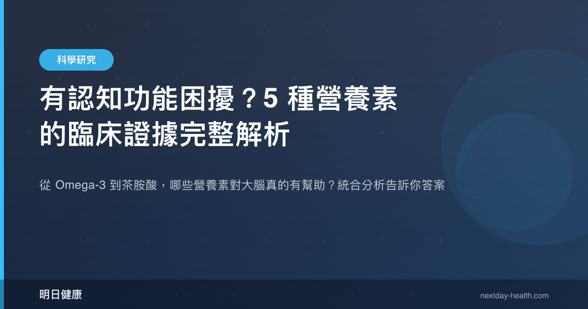 有認知功能困擾？5 種營養素的臨床證據完整解析