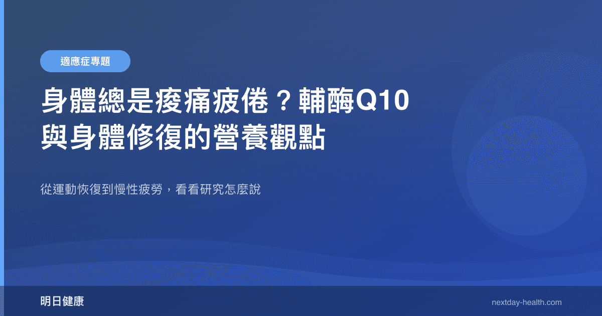 身體總是痠痛疲倦？輔酶Q10與身體修復的營養觀點