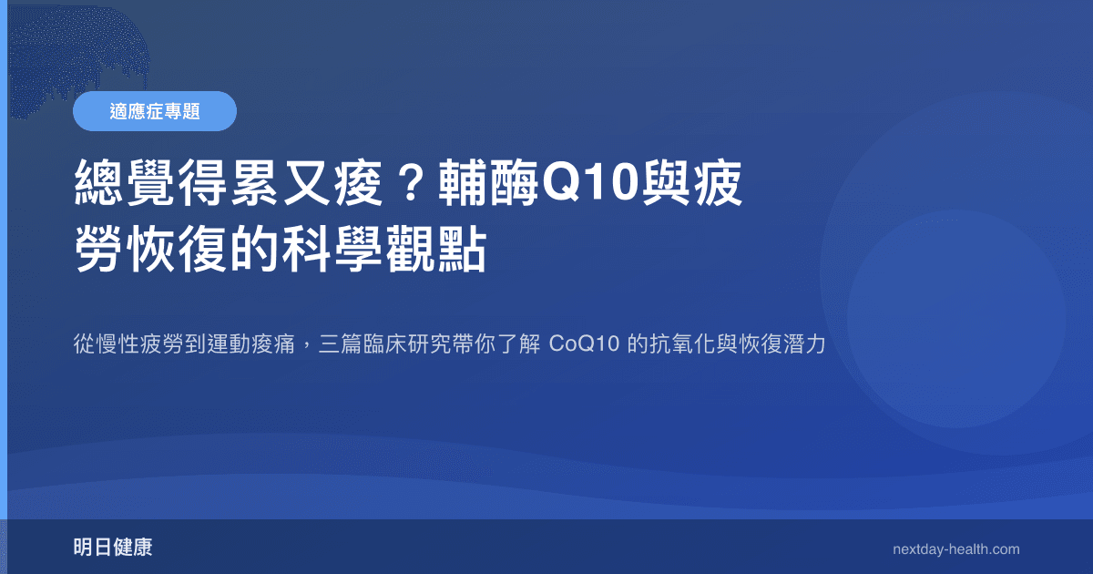 總覺得累又痠？輔酶Q10與疲勞恢復的科學觀點