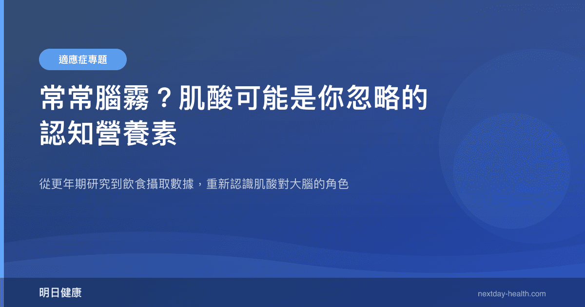 常常腦霧？肌酸可能是你忽略的認知營養素